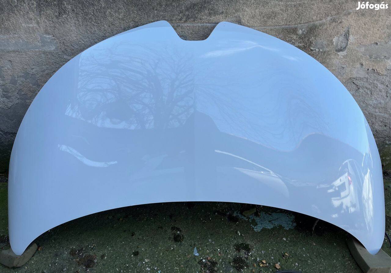 Renault Zoe geptetö ,kis hibas