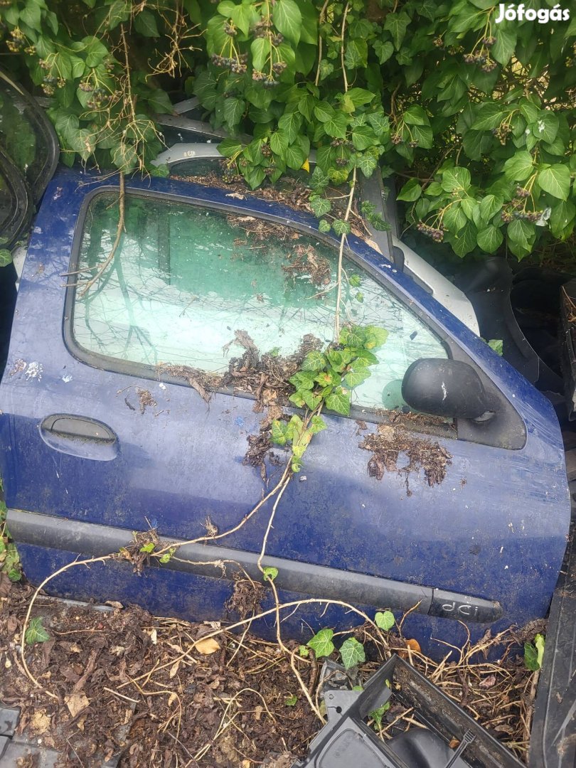 Renault clio ajto