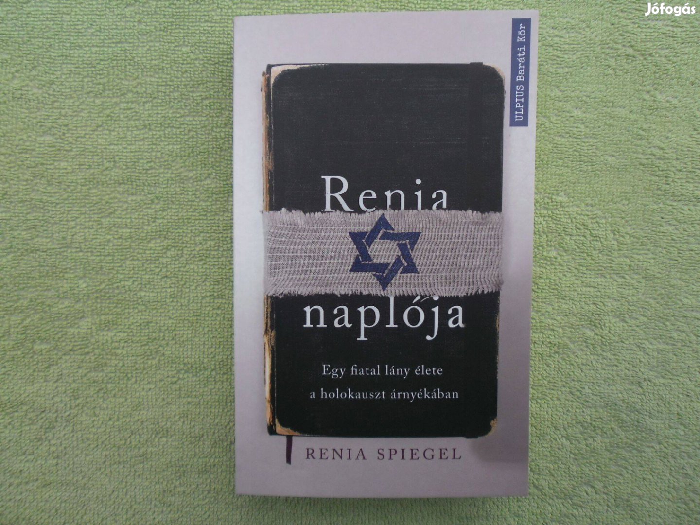 Renia Spiegel: Renia naplója