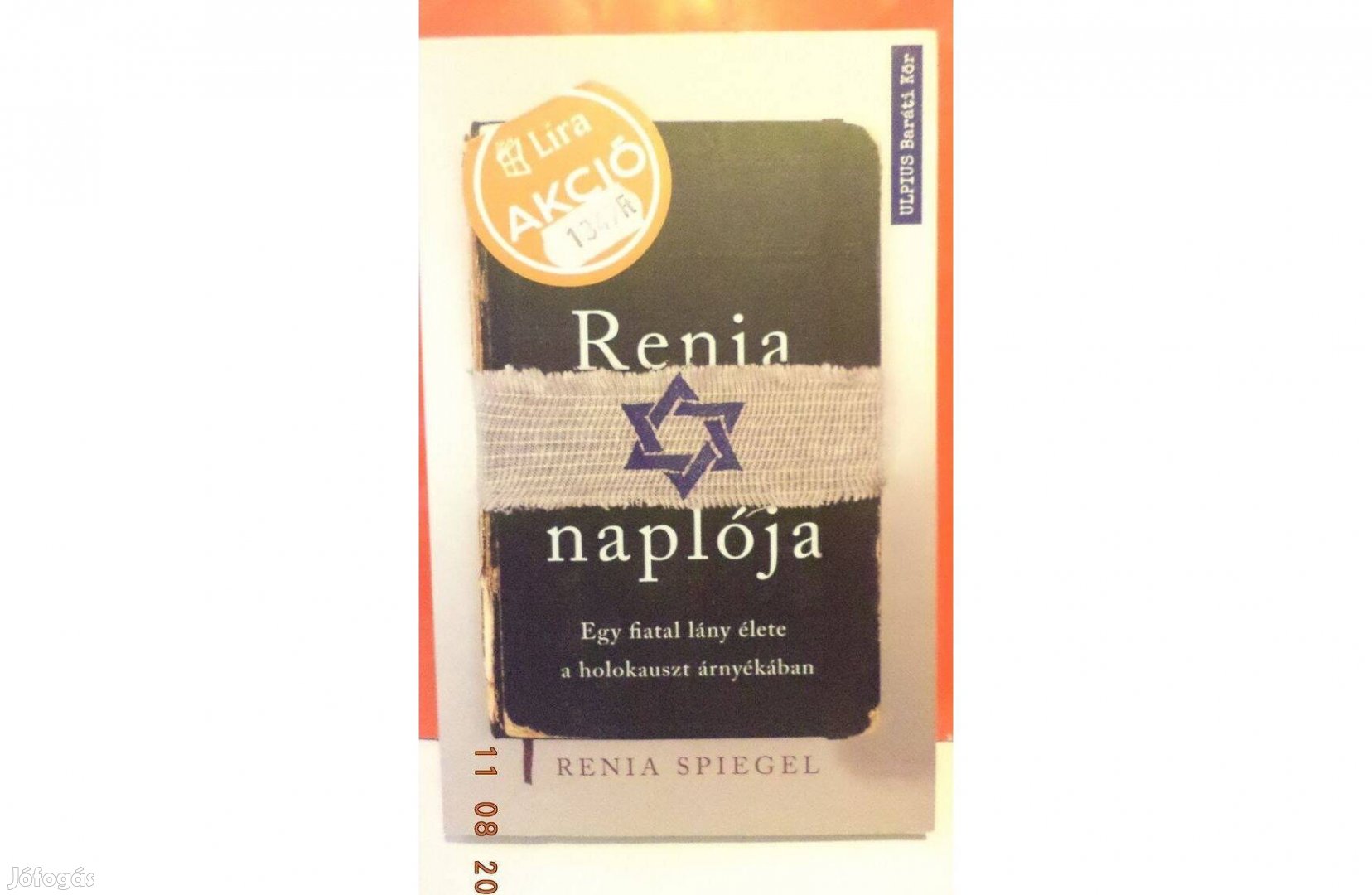 Renia Spiegel: Renia naplója