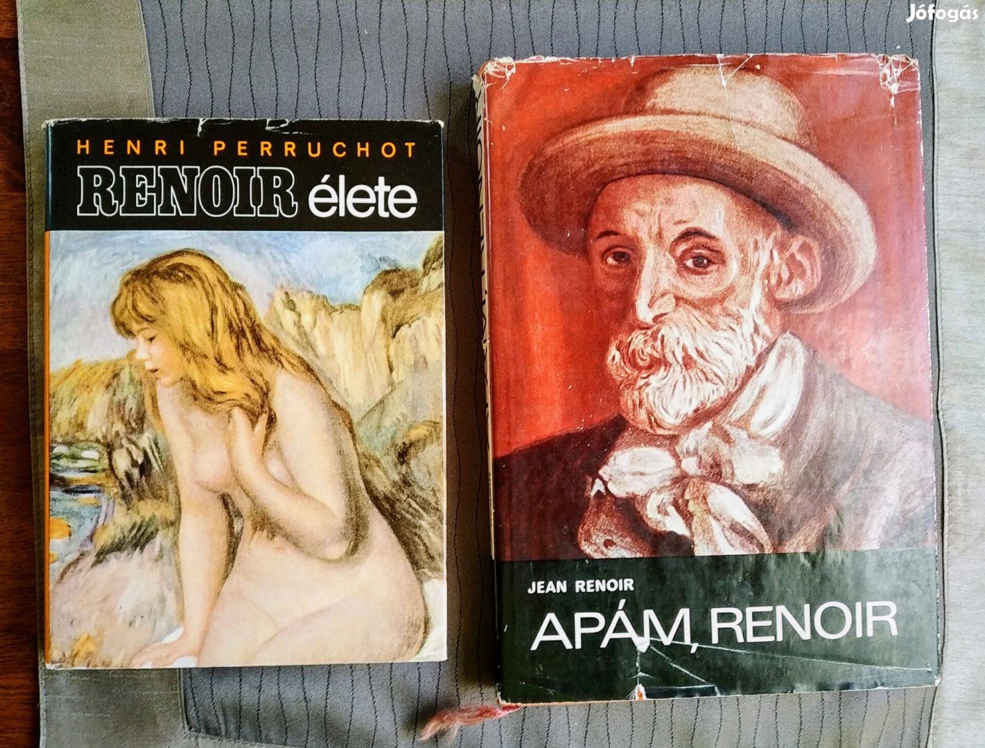 Renoir Renoir élete Apám Renoir könyvek