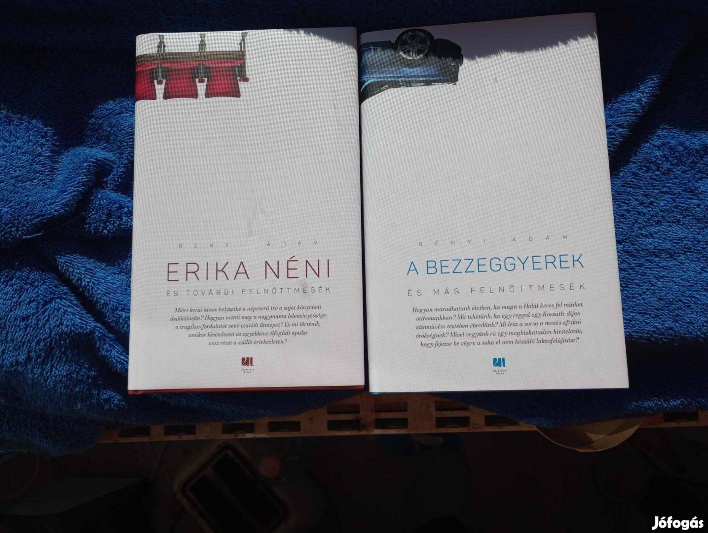 Rényi Ádám - A bezzeggyerek / Erika néni c. könyvek Nem Postázom