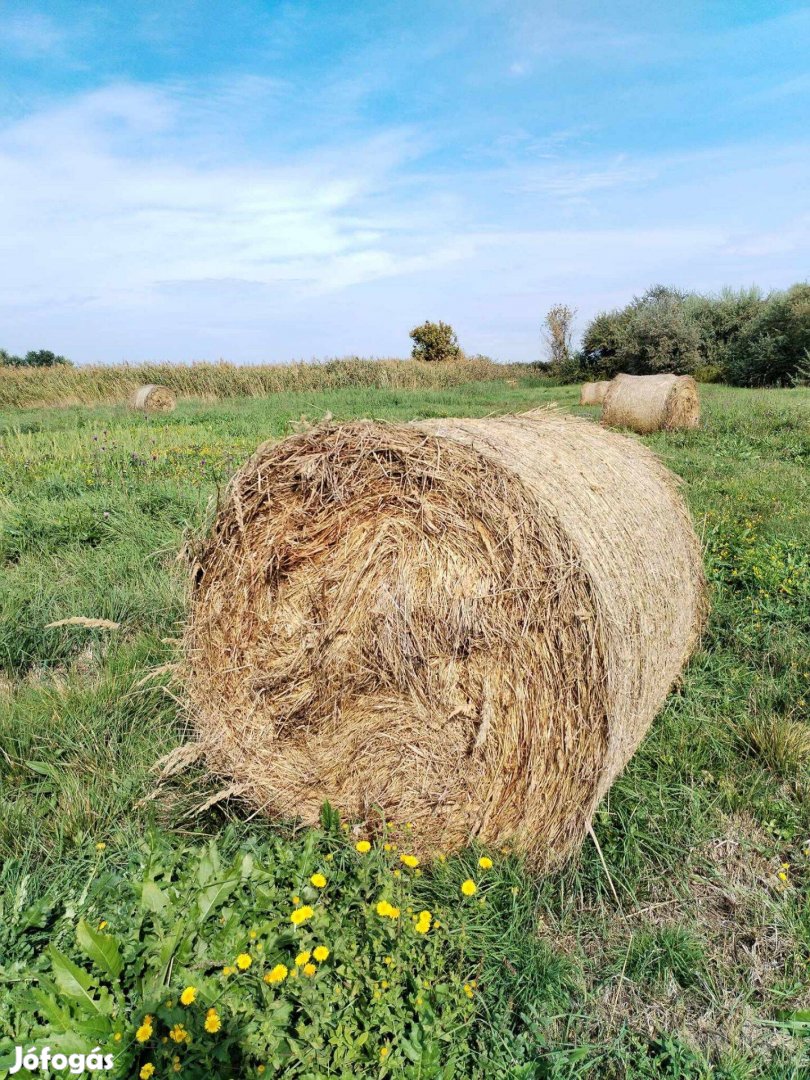 Réti Széna Vecsésen! Szállítás van!