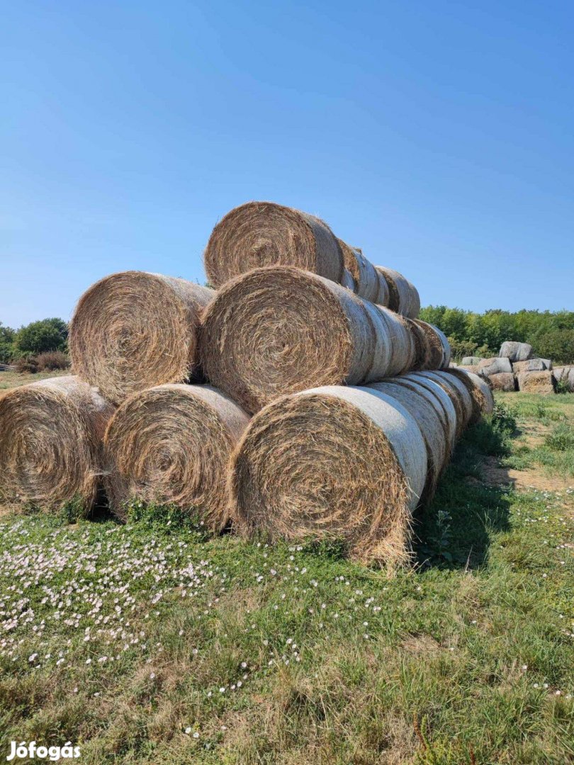 Réti és lucernaszéna eladó, 144 cm