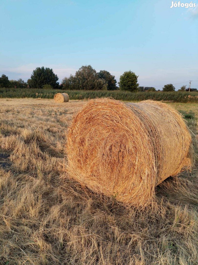 Réti széna Vecsésen! Szállítás van!