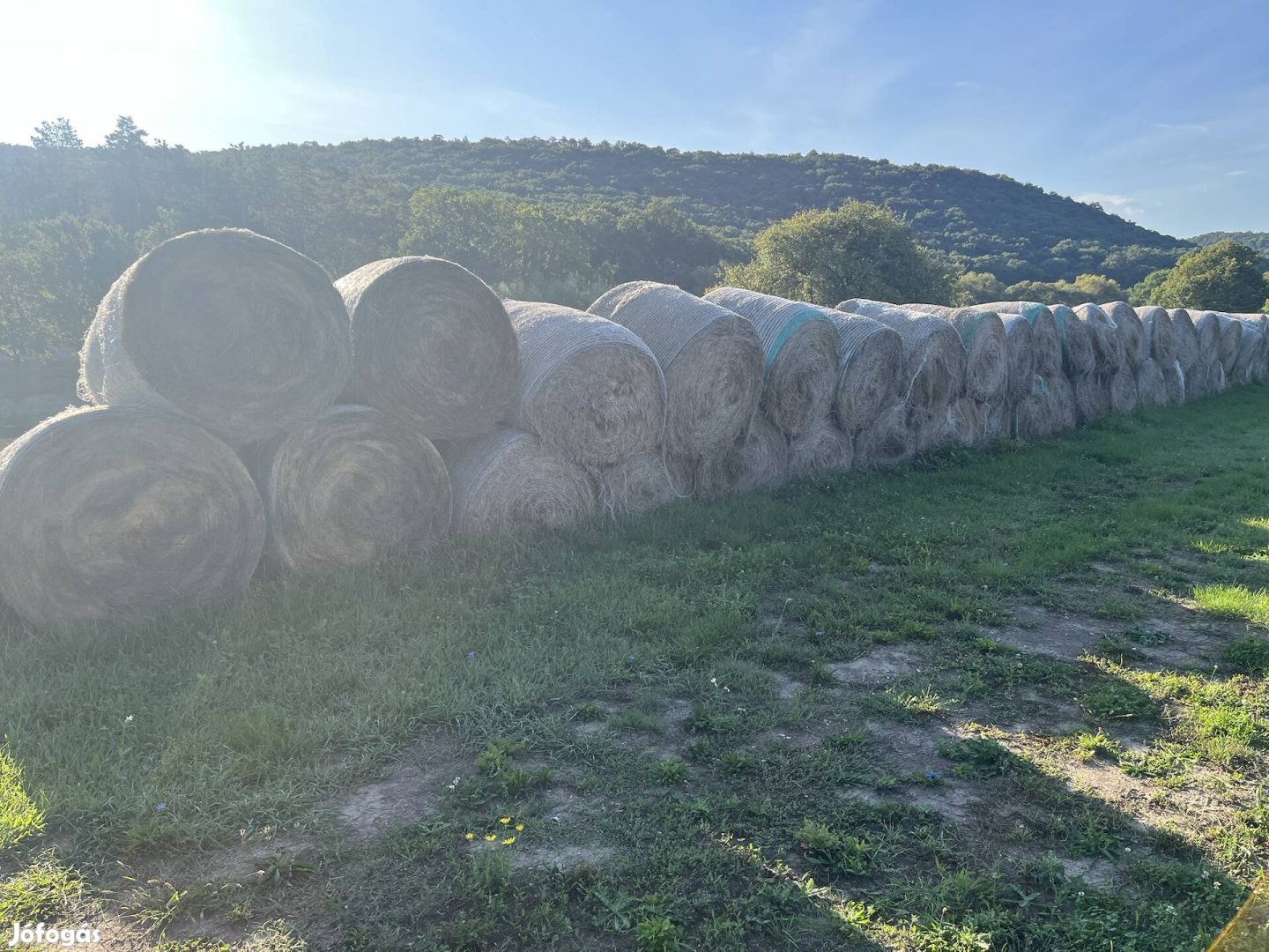 Réti széna bála eladó