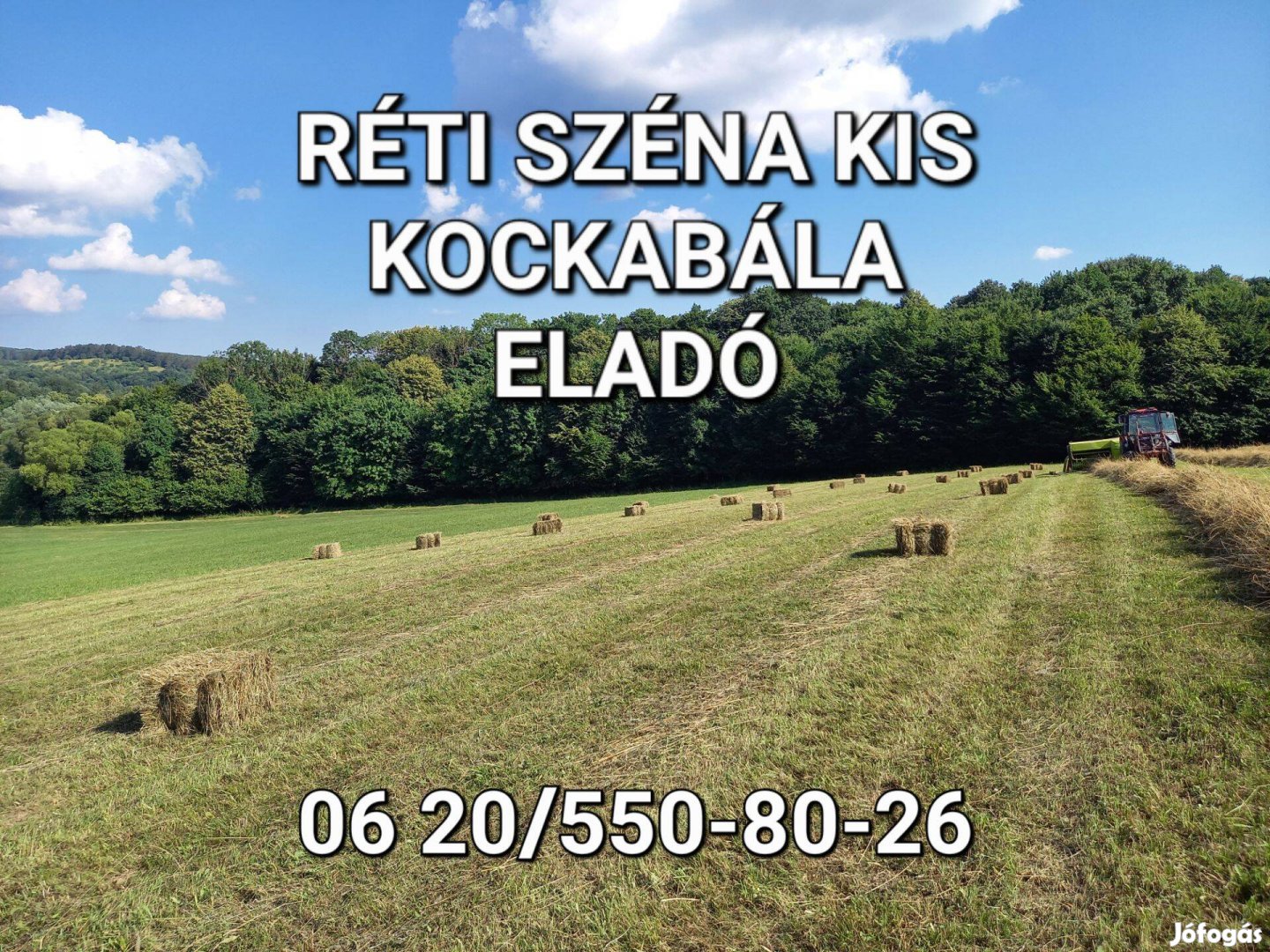 Réti széna kis kockabála eladó