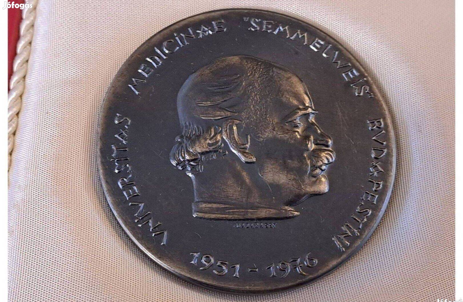 Retro Semmelweis plakett
