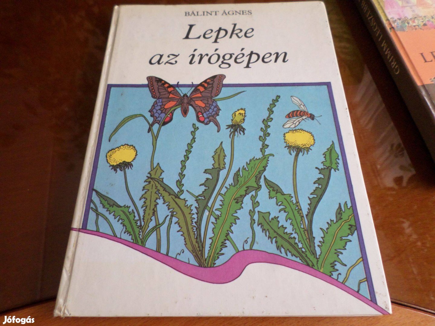 Retro! Bálint Ágnes Lepke az írógépen, 1982 Gyermekkönyv, meséskönyv