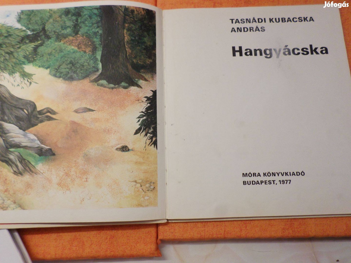 Retro! Tasnádi Kubacska András Hangyácska, 1977 Gyermekkönyv