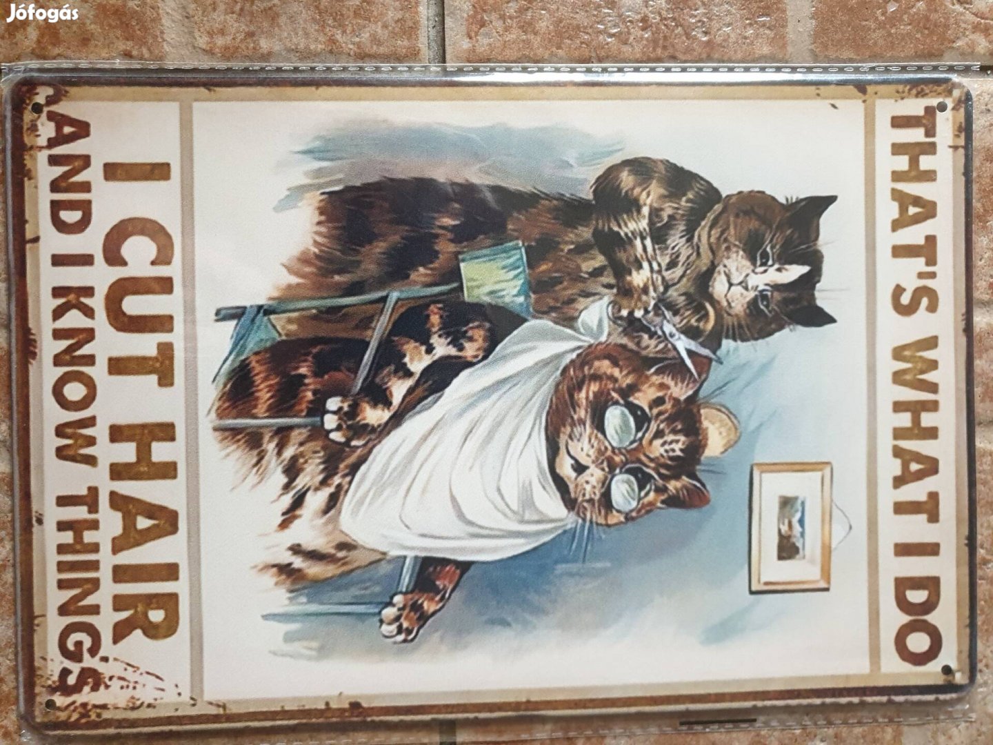Retró vintage fém reklám tábla cica macska fodrász borbély