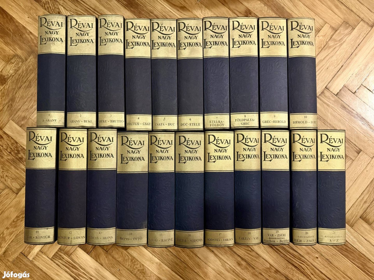 Révai Nagy Lexikona - teljes 21 kötetes kiadás 1992, szép
