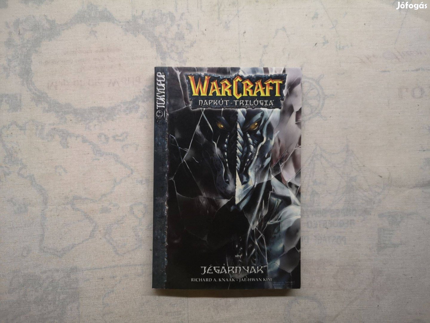 Richard A. Knaak - Jégárnyak (Warcraft: Napkút-trilógia 2.)