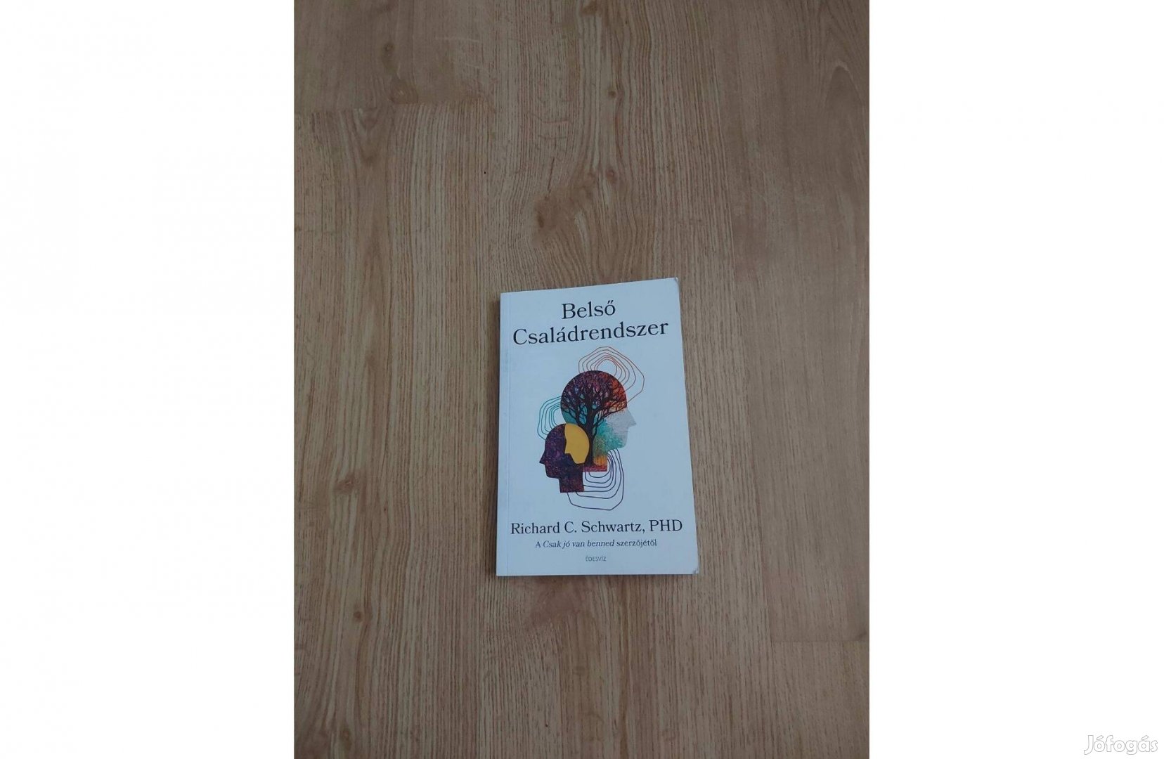 Richard C. Schwartz Belső családrendszer