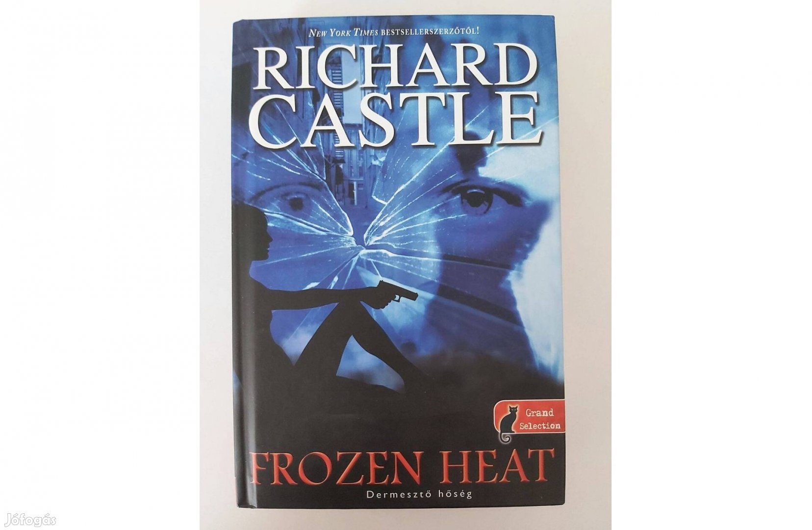 Richard Castle: Frozen Heat - Dermesztő hőség