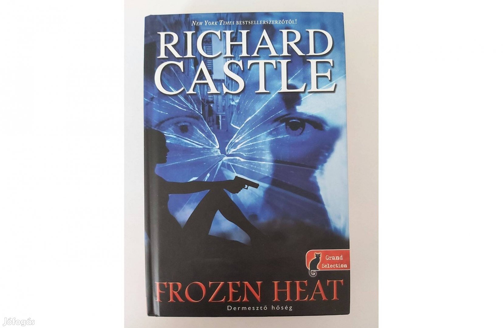 Richard Castle: Frozen Heat - Dermesztő hőség