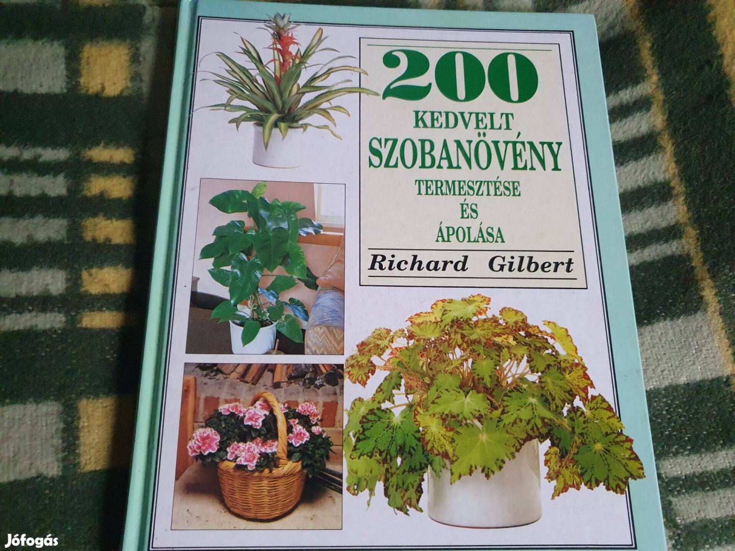 Richard Gilbert 200 kedvelt szobanövény termesztése és