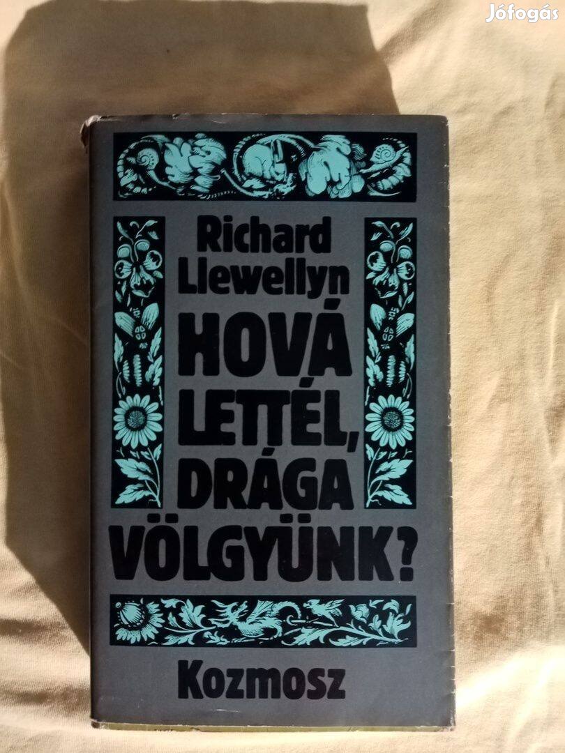 Richard Llewellyn: Hová lettél, drága völgyünk? I-II