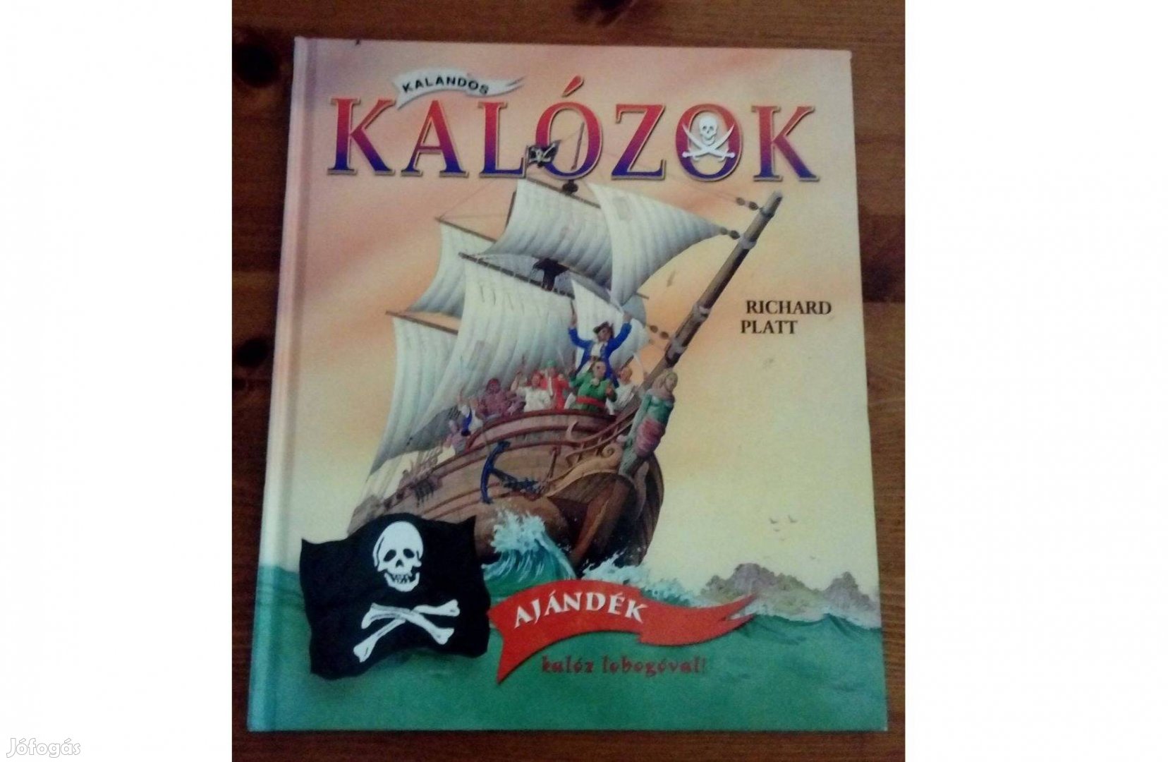 Richard Platt: Kalózok