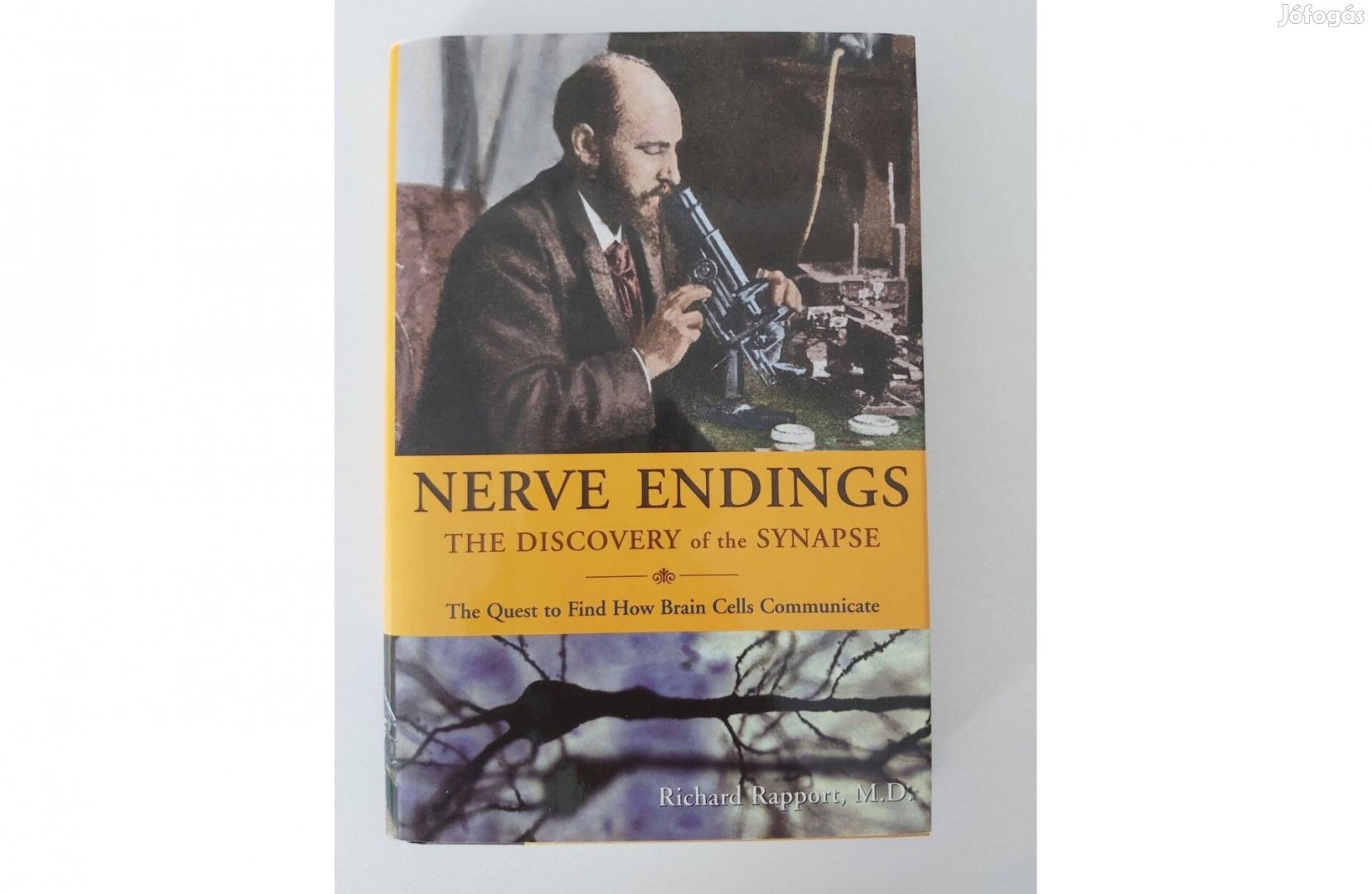Richard Rapport Nerve Endings The Discovery of the Synapse
