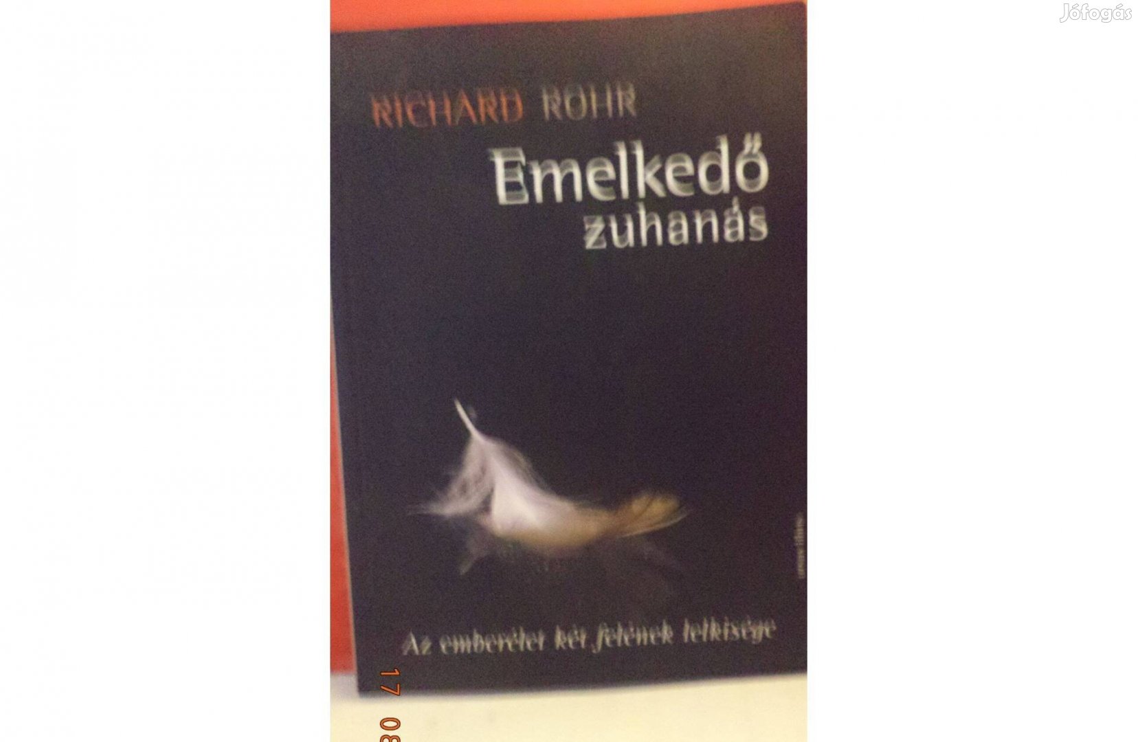 Richard Rohr: Emelkedő zuhanás
