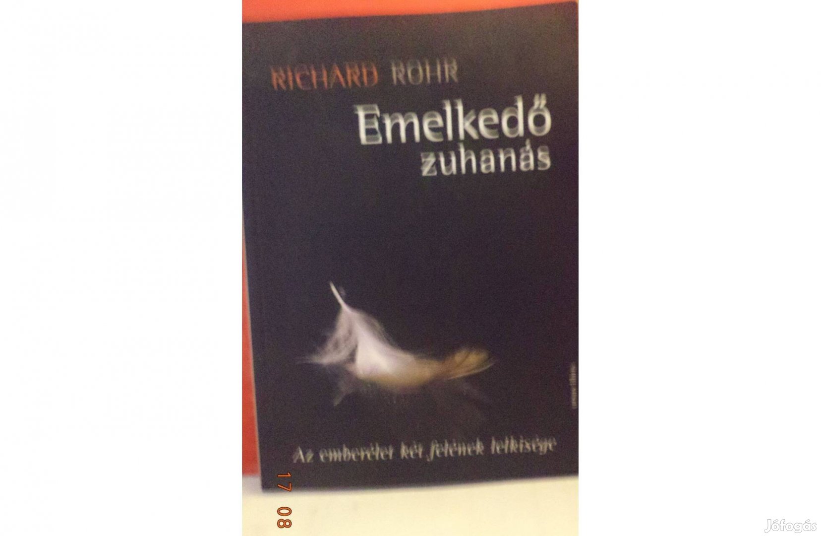 Richard Rohr: Emelkedő zuhanás