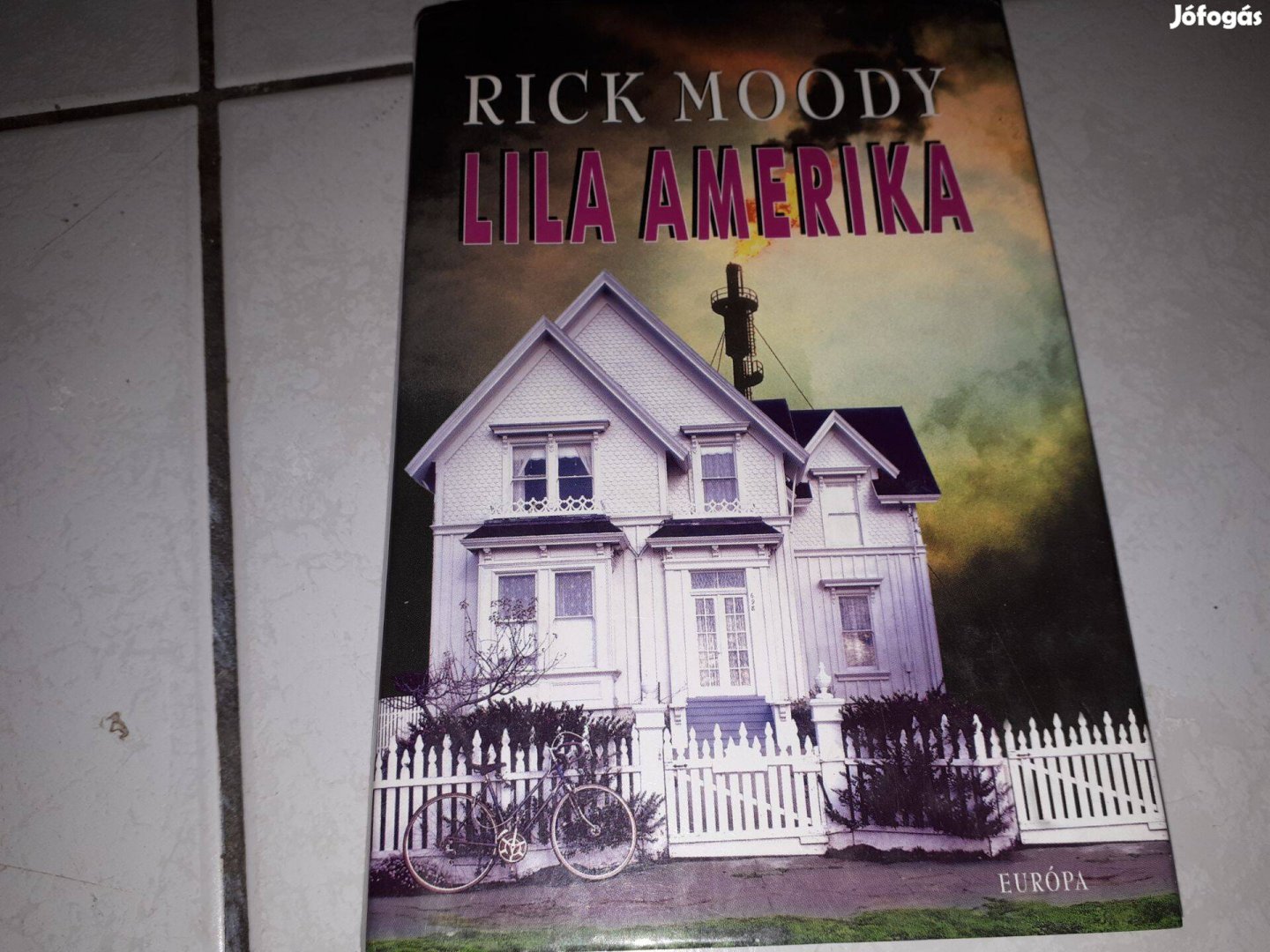 Rick Moody - Lila Amerika