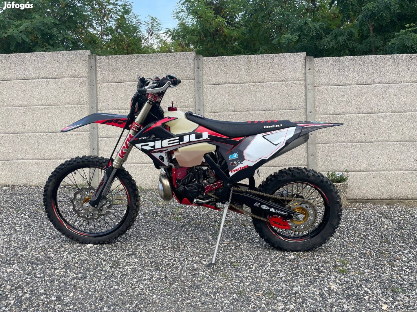 Rieju MR300 Enduro motor