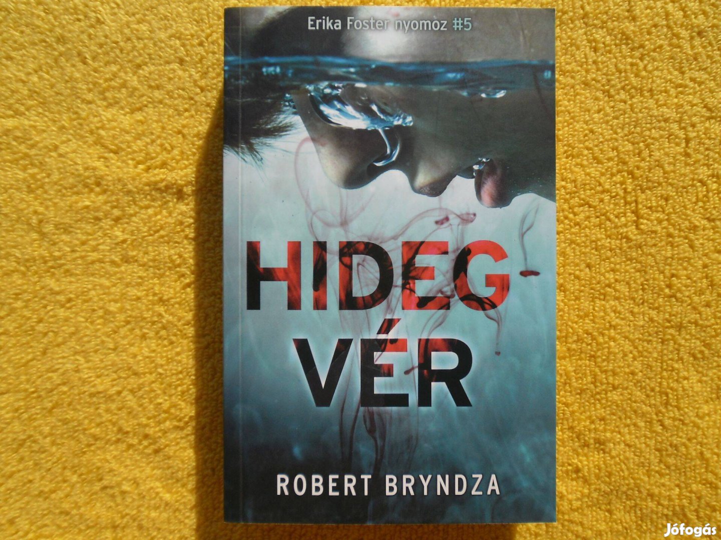 Robert Bryndza: Hidegvér