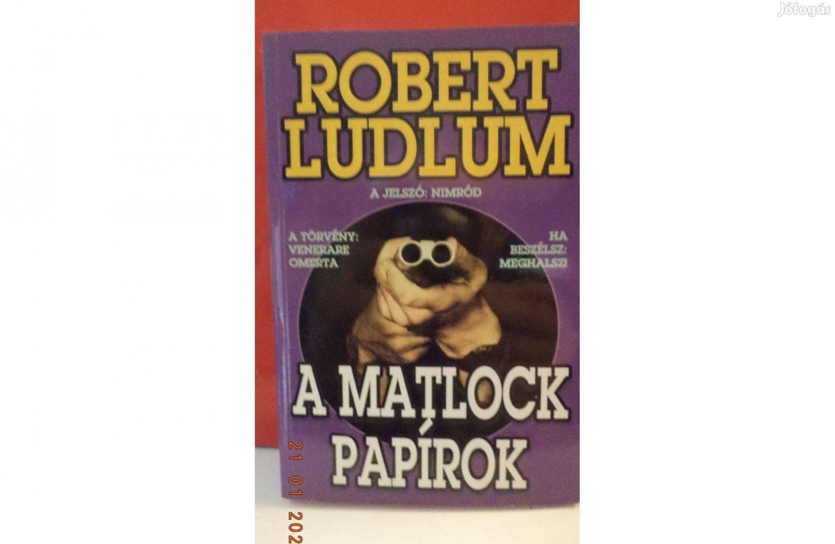 Robert Ludlum: A Matlock papírok