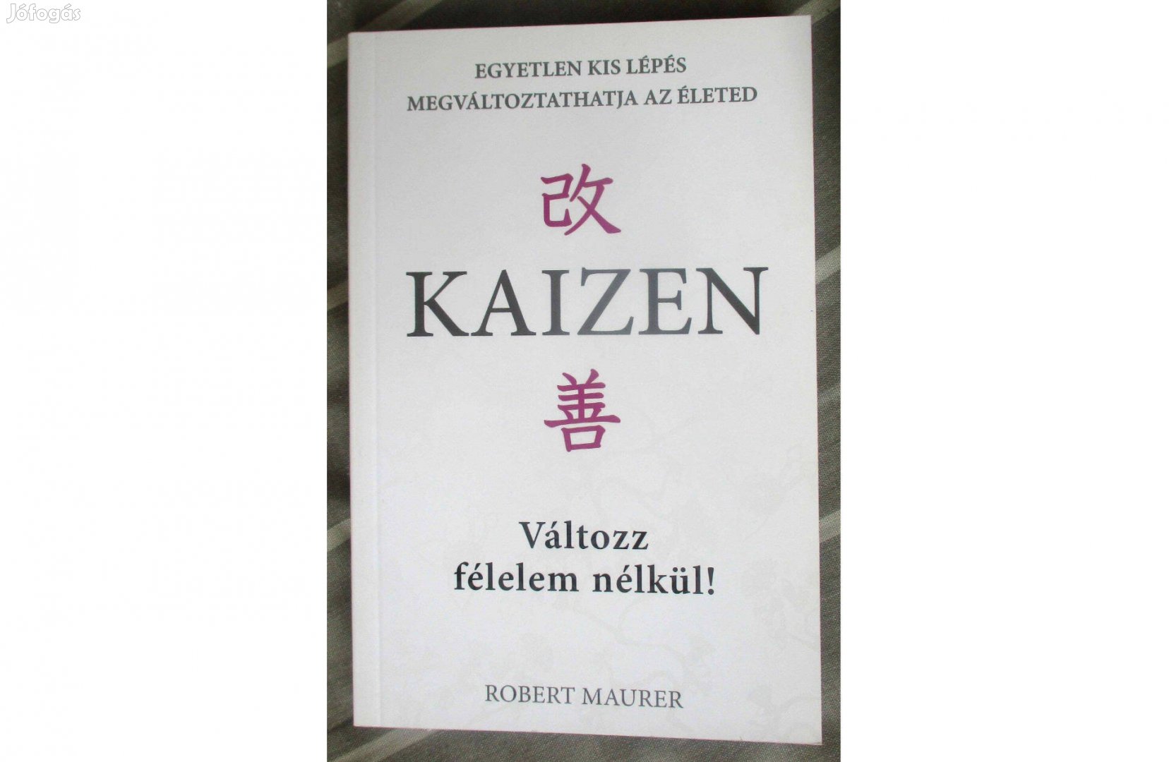 Robert Maurer: Kaizen- Változz félelem nélkül!