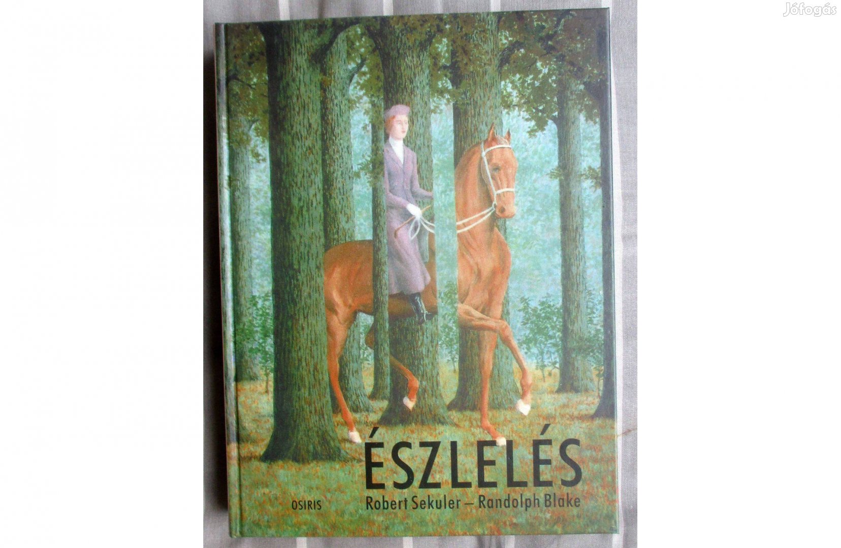 Robert Sekuler, Randolph Blake: Észlelés