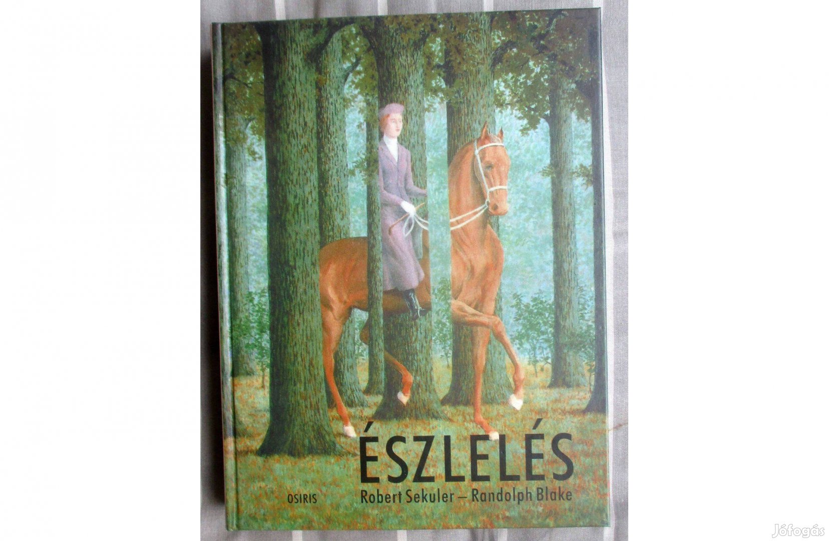 Robert Sekuler, Randolph Blake: Észlelés