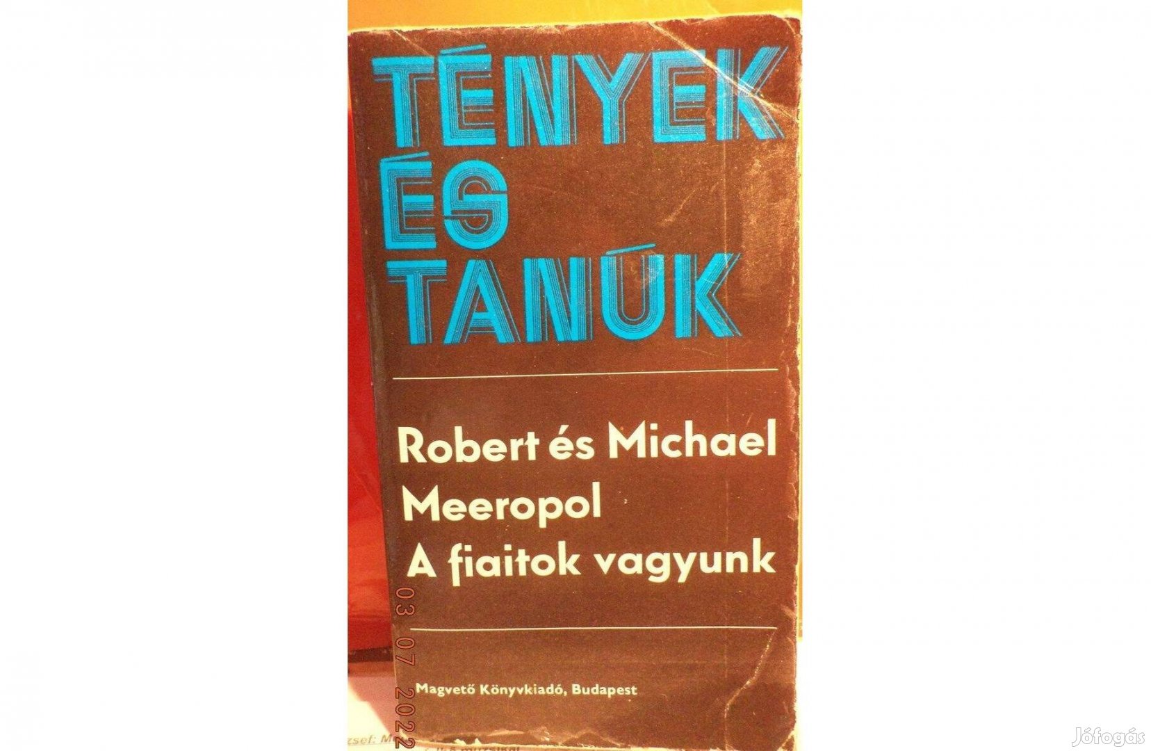 Robert és Michael Meeropol: A fiaitok vagyunk