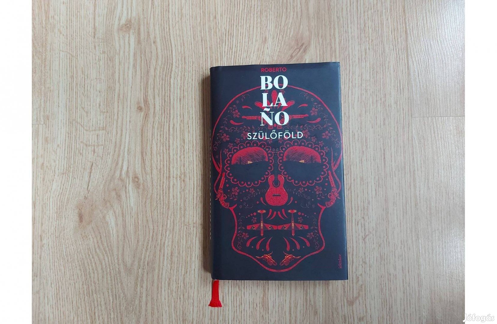 Roberto Bolano: Szülőföld