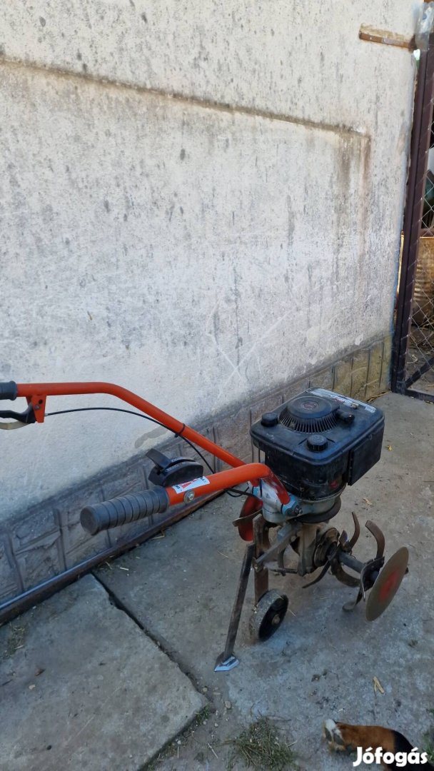 Robi56, Rota, Rotakapa, Briggs, Robi