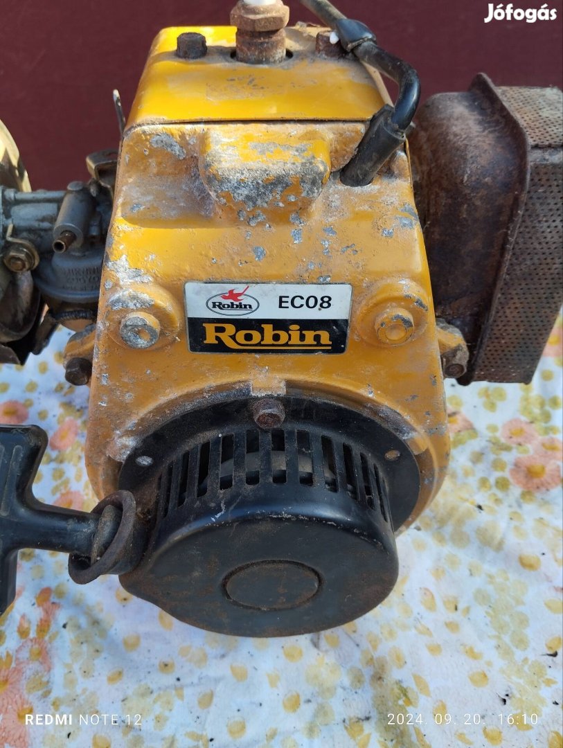 Robin motor 