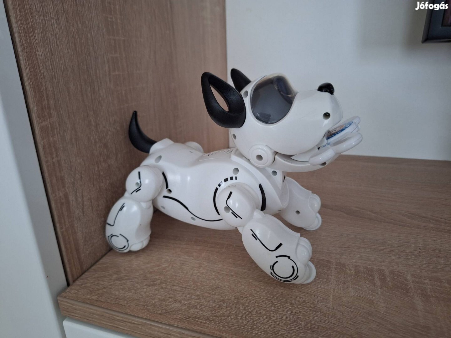 Robomancs az okos kutya