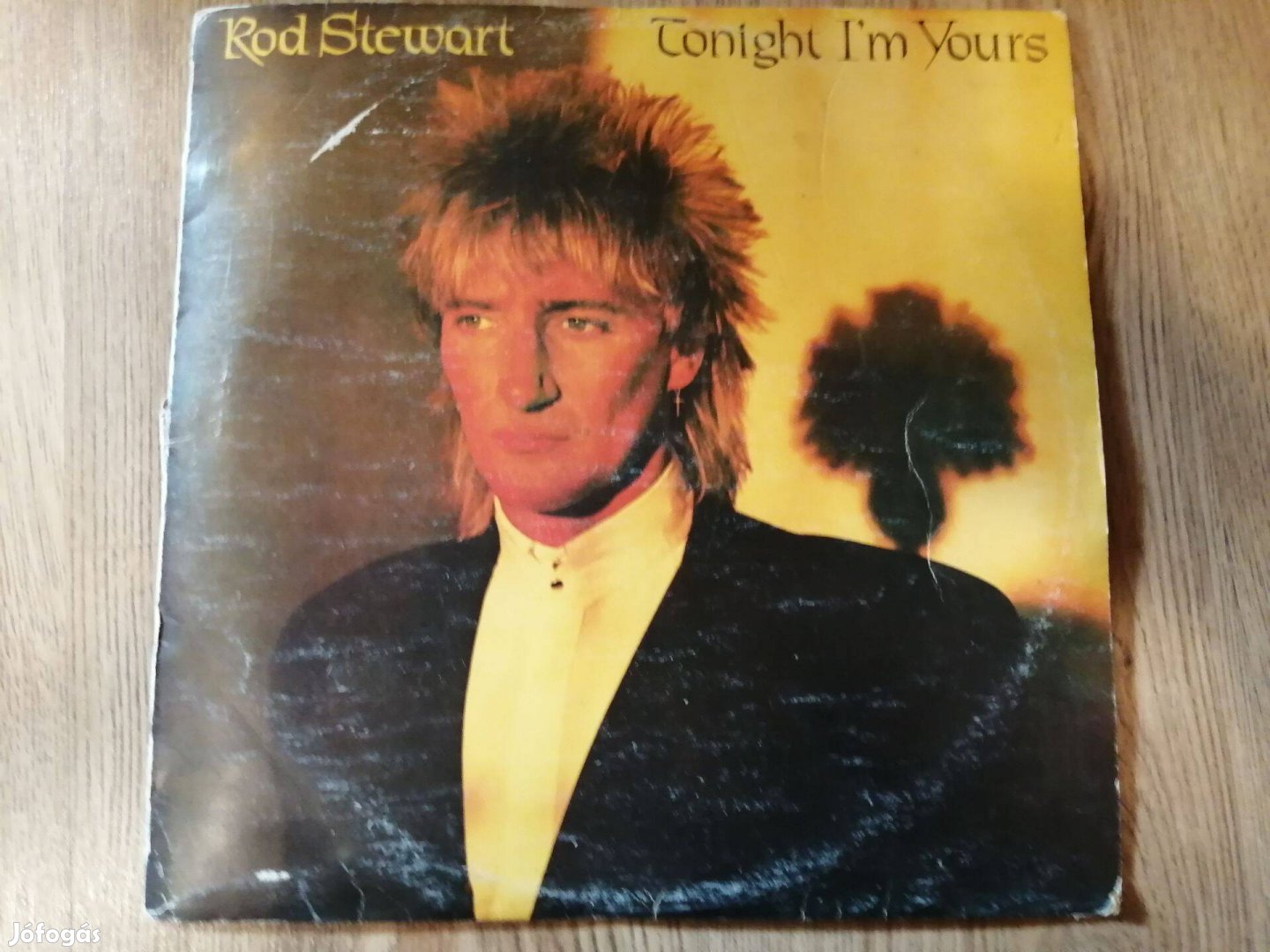 Rod Stewart - bakelit lemez