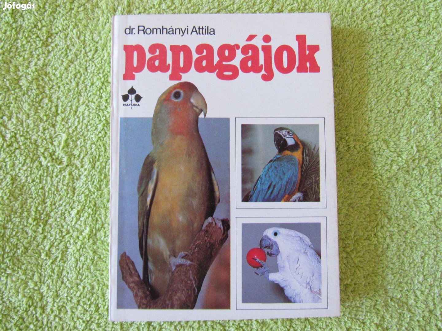 Romhányi Attila Papagájok