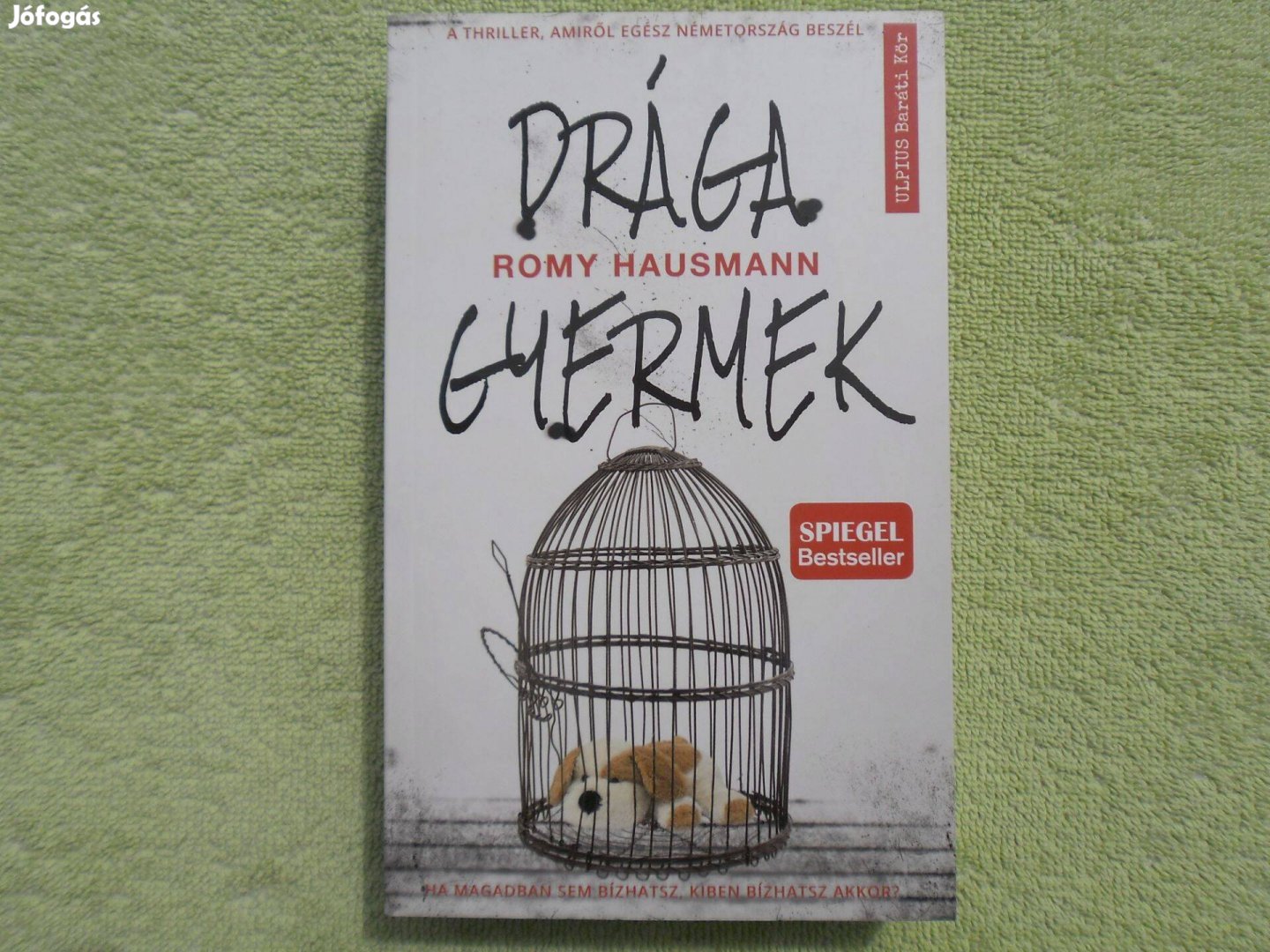 Romy Hausmann: Drága gyermek