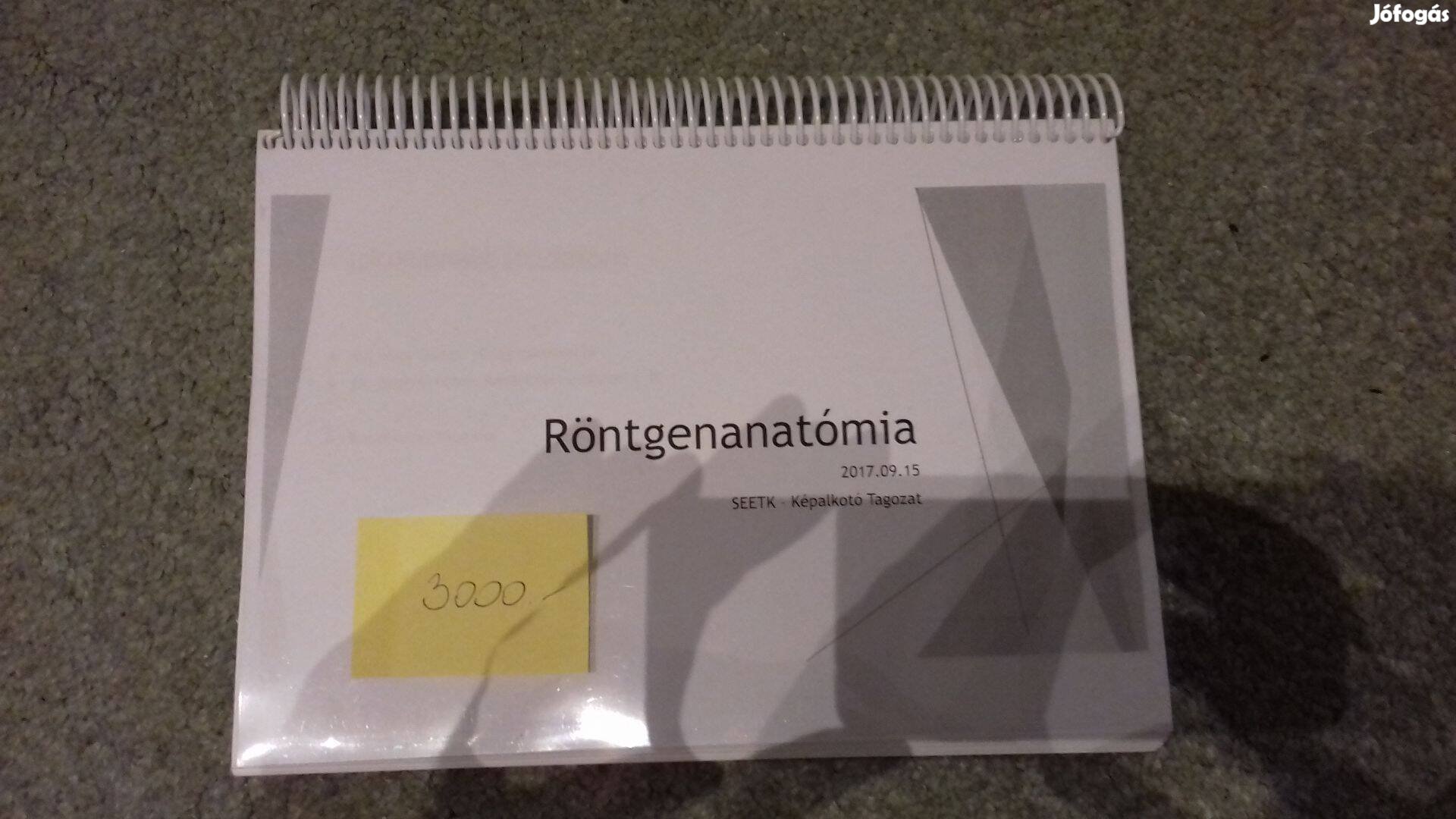 Röntgenanatómia