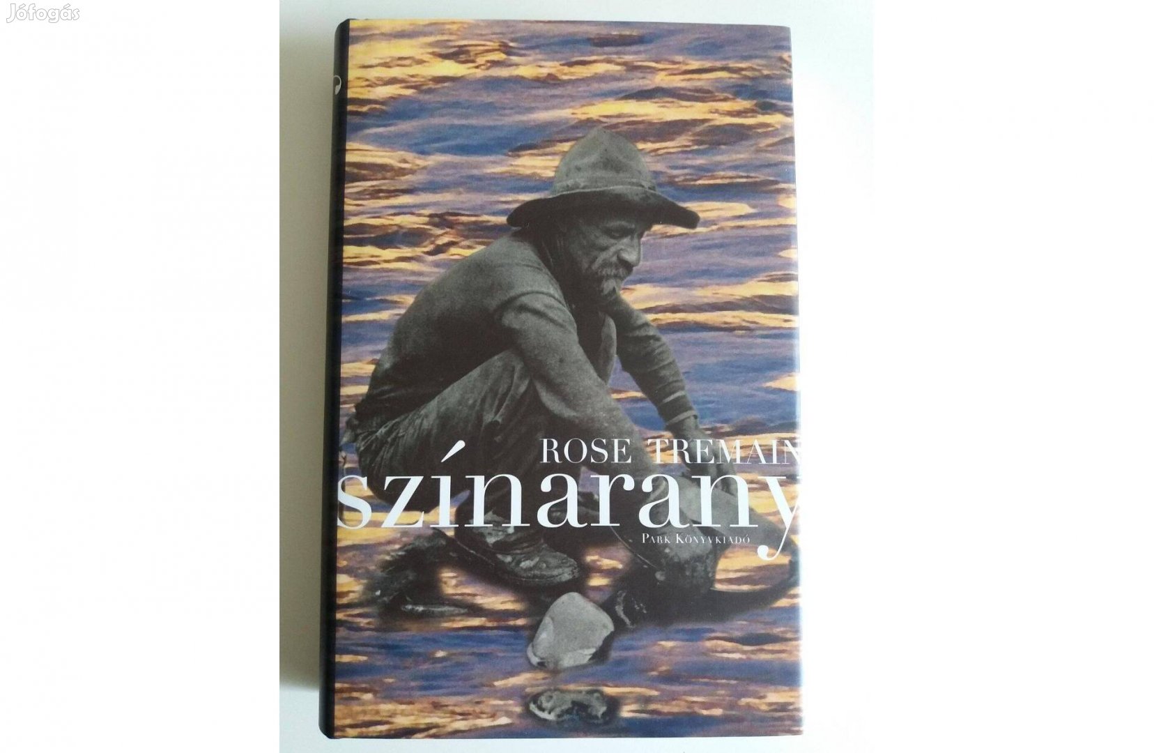 Rose Tremain : Színarany