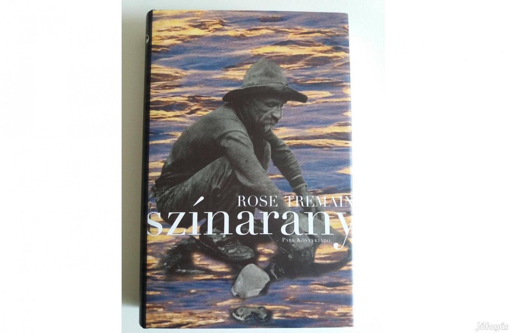 Rose Tremain : Színarany