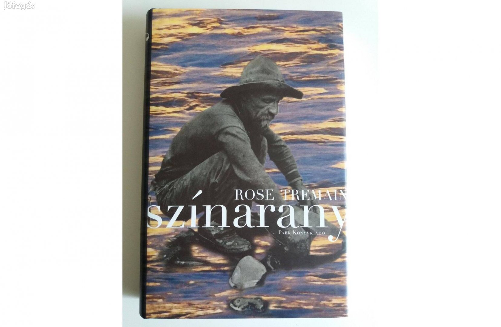 Rose Tremain : Színarany