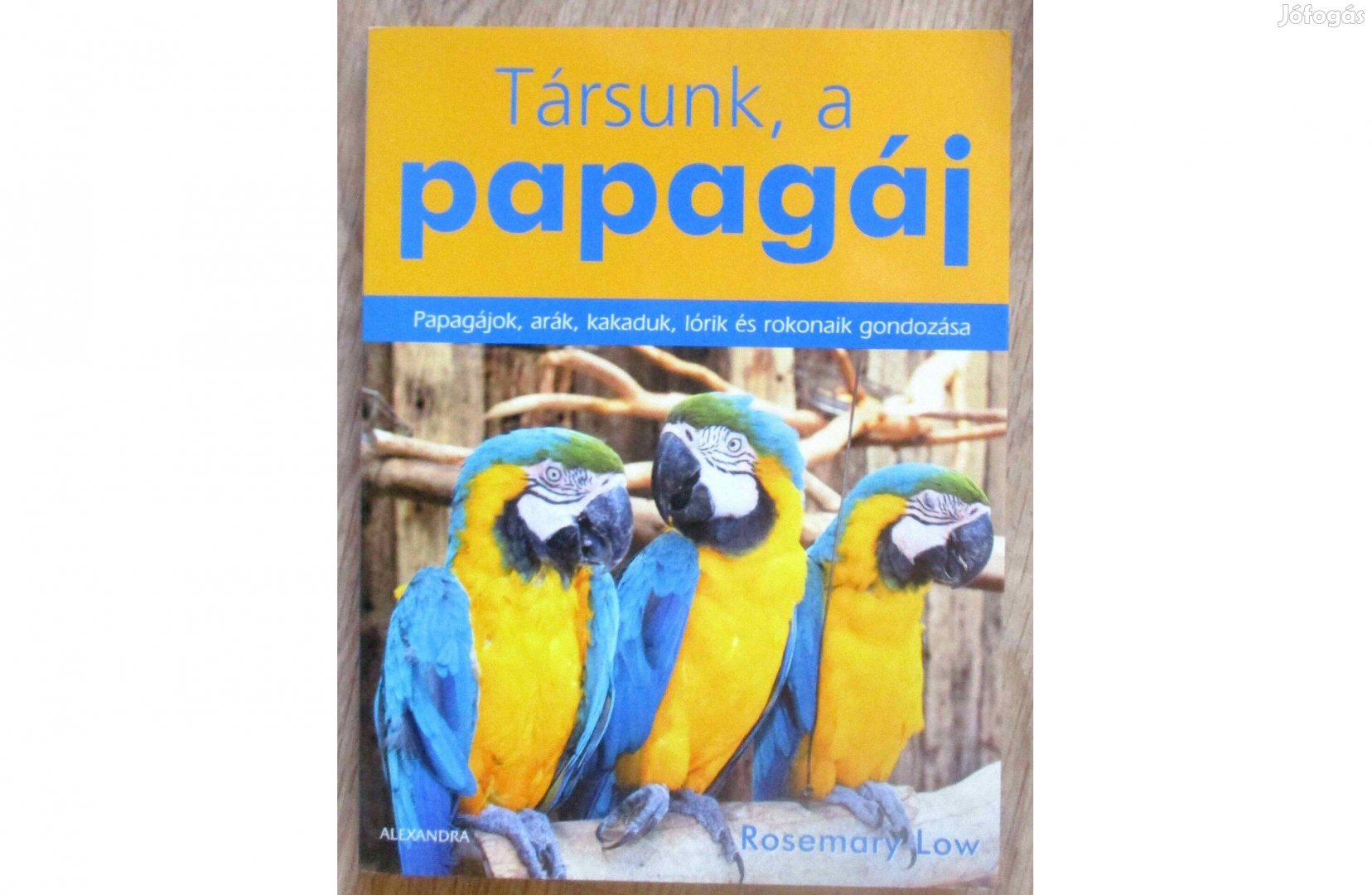 Rosemary Low: Társunk, a papagáj - Papagájok, arák, kakaduk, lórik