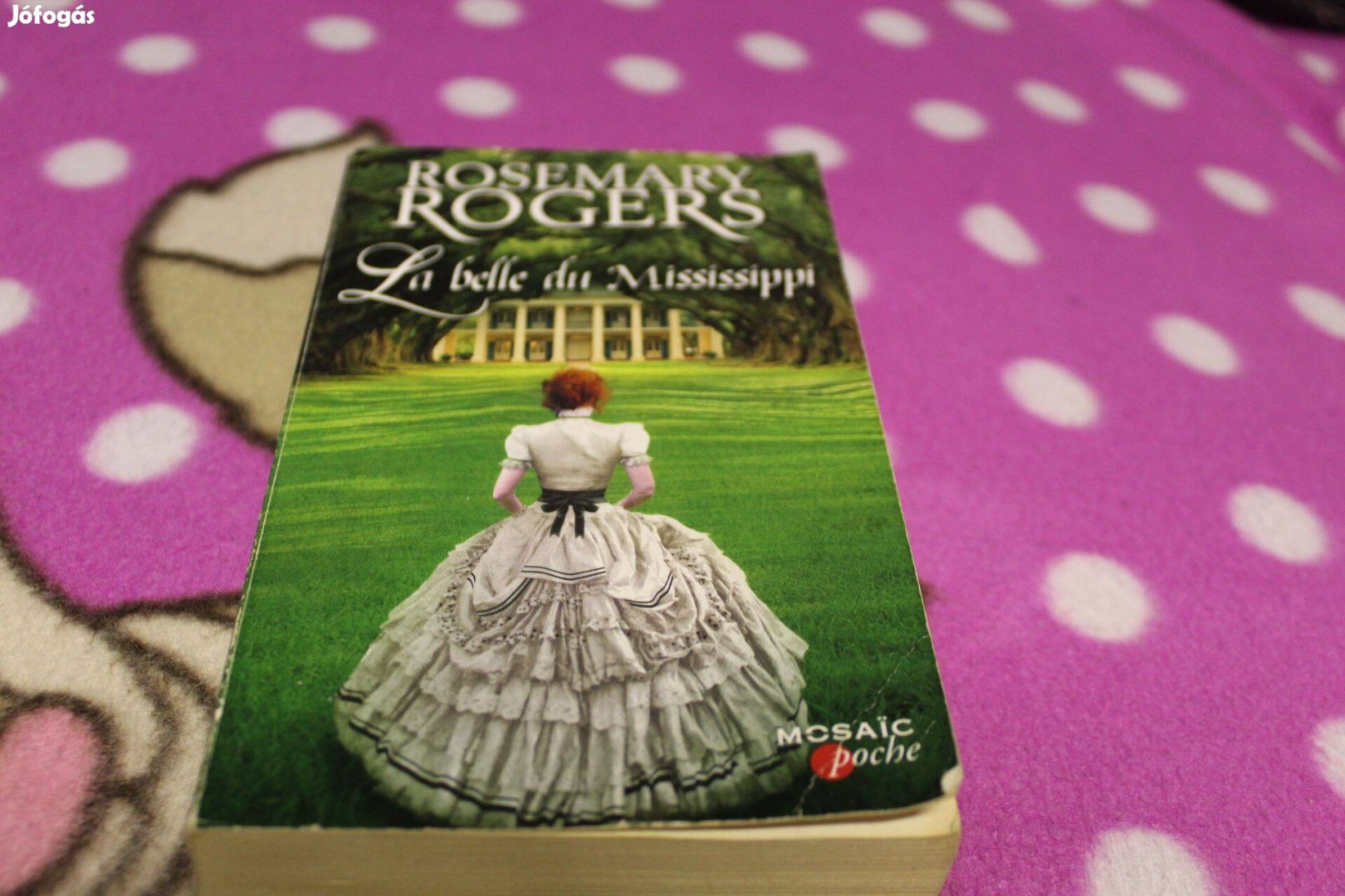 Rosemary Rogers: La belle du Mississippi- franciaul