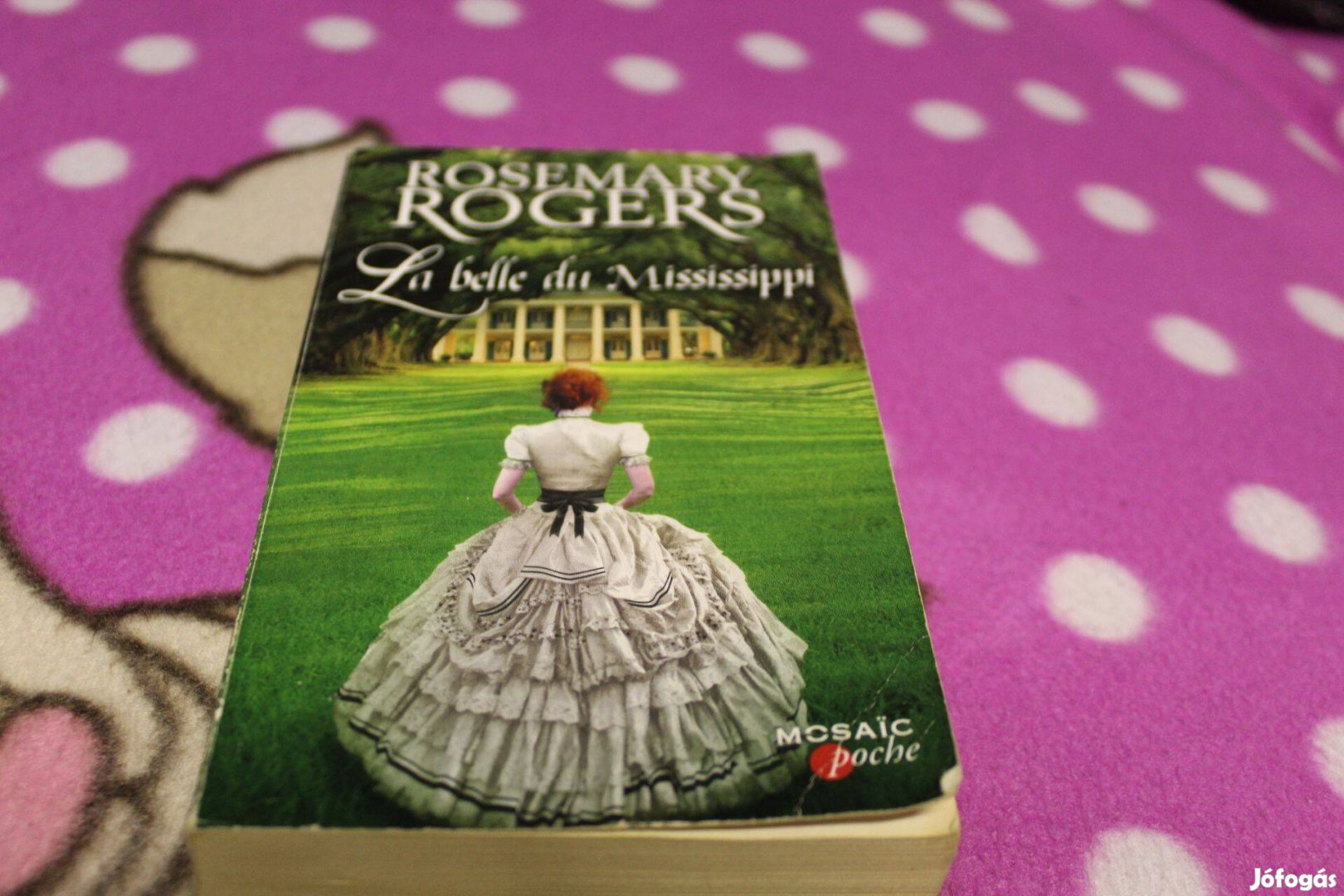 Rosemary Rogers: La belle du Mississippi- franciaul