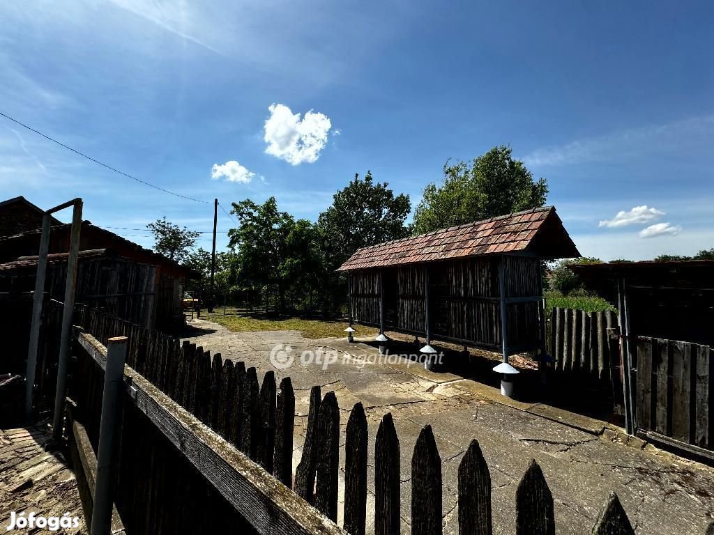 Röszkei 107 nm-es ház eladó