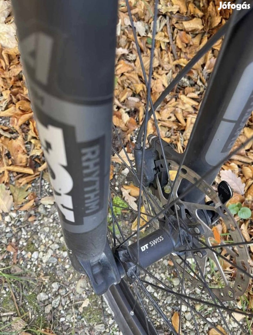 Rotwild R.T+ Core - Brose - Fox - DT Swiss